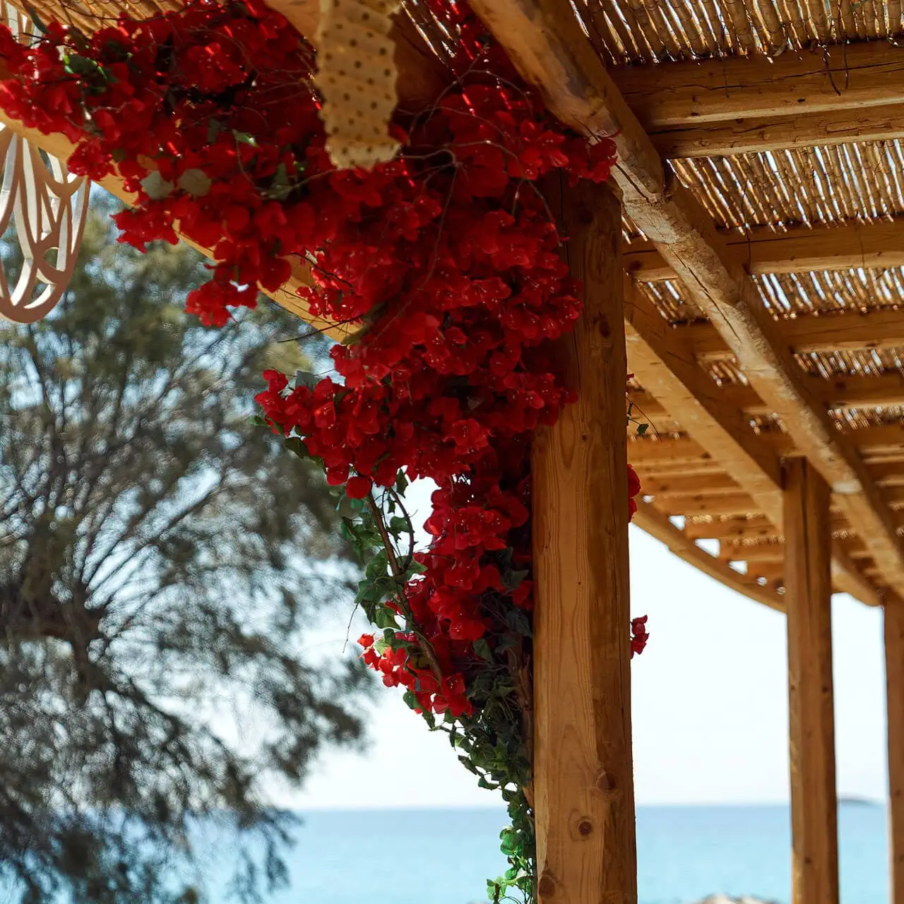 Interior of Punda Coast photoshoot 11